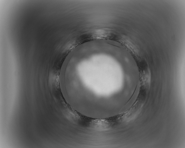 X0000116860427200912291303