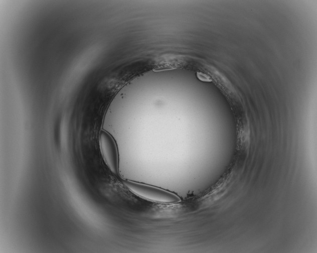 X0000116860429200912291303