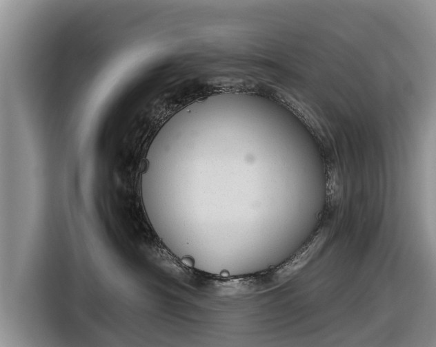 X0000116860430200912291303