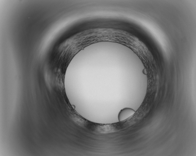 X0000116860431200912291303