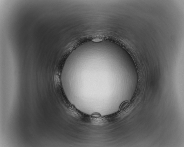 X0000116860432200912291303