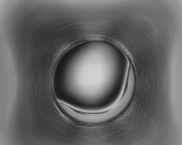 X0000116860433200912291303