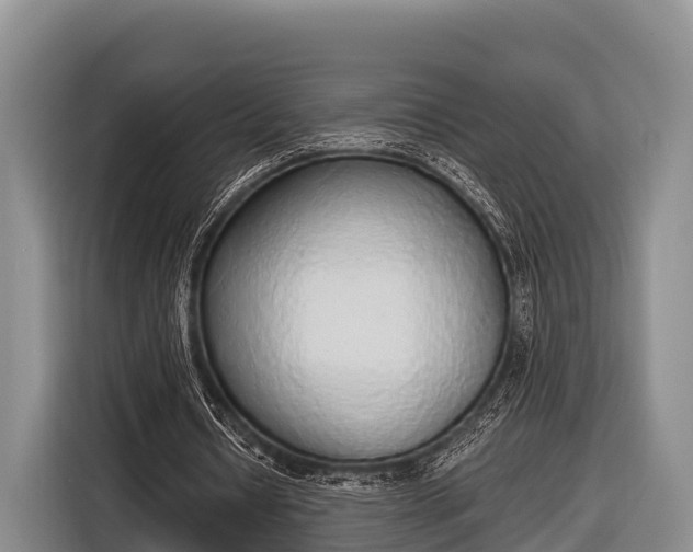 X0000116860434200912291303