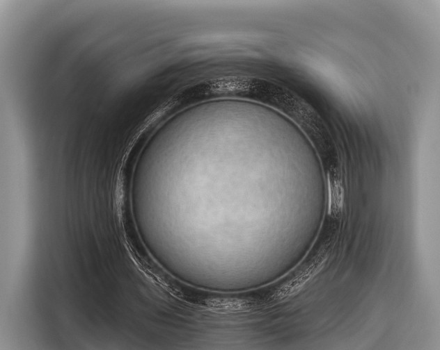 X0000116860435200912291303