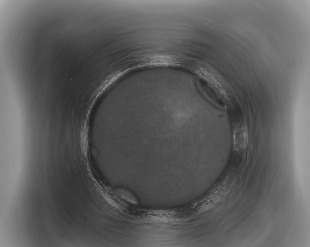 X0000116860436200912291303