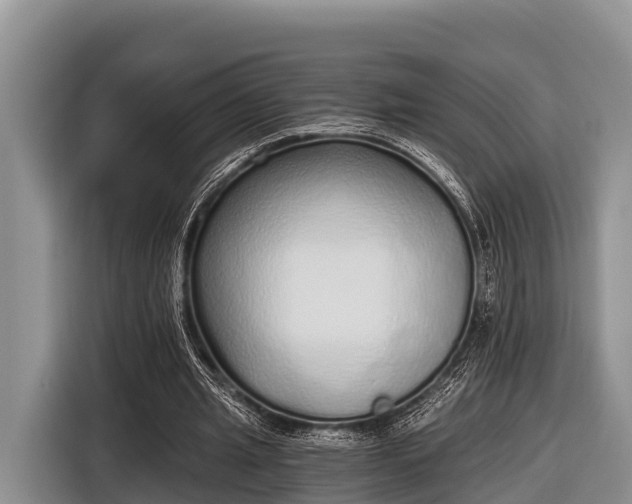 X0000116860437200912291303