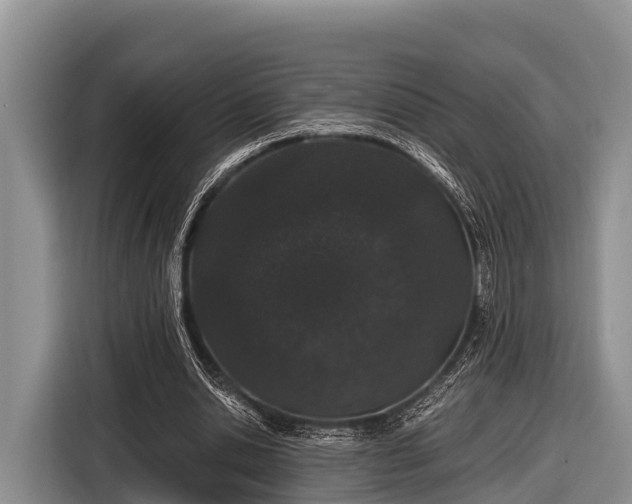 X0000116860438200912291303