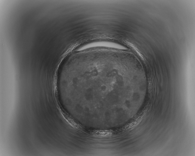 X0000116860443200912291303