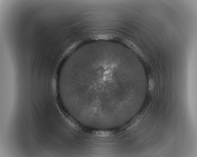 X0000116860444200912291303