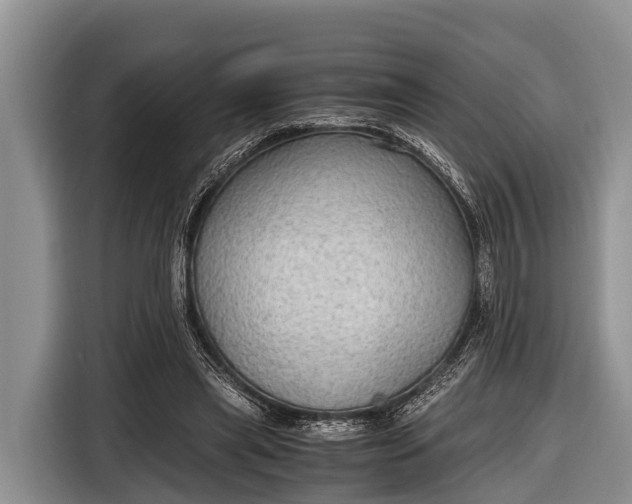 X0000116860445200912291303