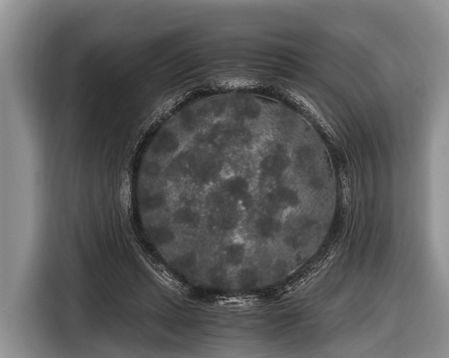 X0000116860447200912291303