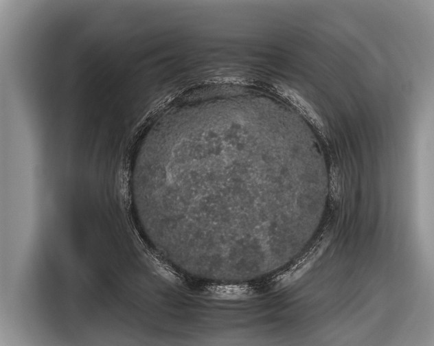 X0000116860449200912291303