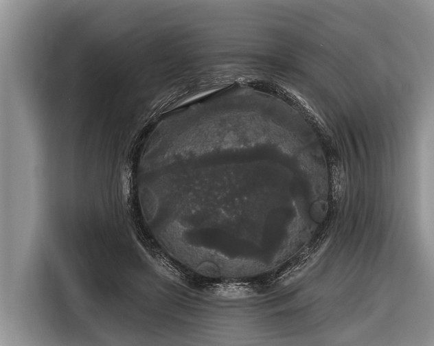 X0000116860451200912291303