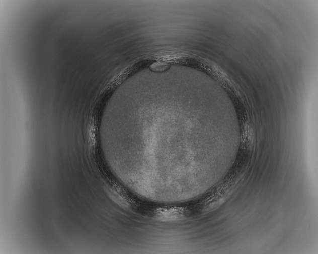 X0000116860452200912291303