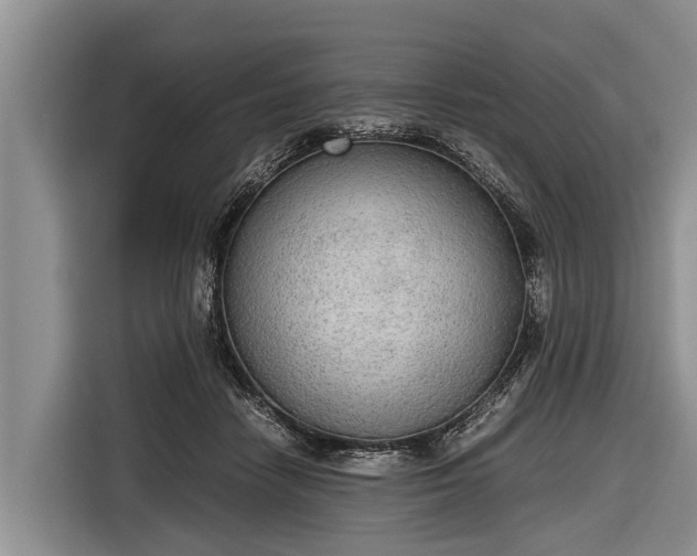 X0000116860458200912291303