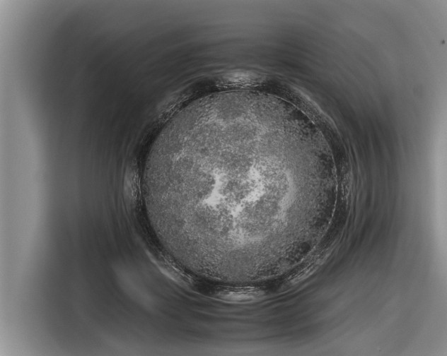 X0000116860459200912291303