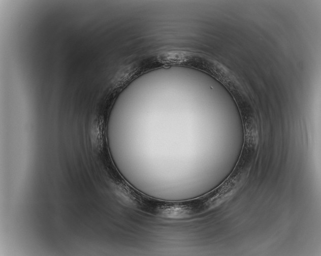 X0000116860460200912291303