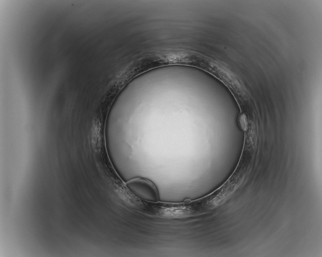 X0000116860461200912291303