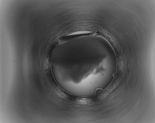 X0000116860467200912291303