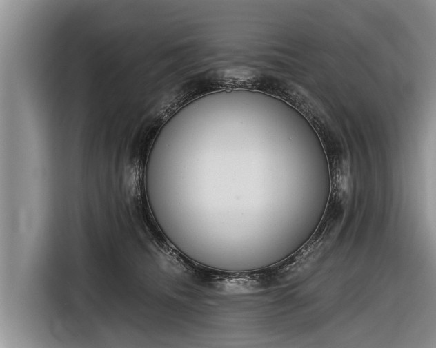 X0000116860468200912291303