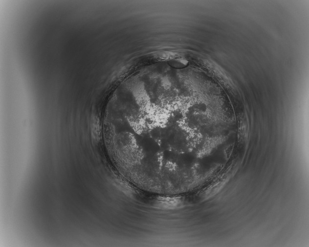 X0000116860469200912291303