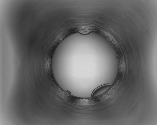 X0000116860473200912291303