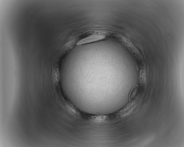 X0000116860474200912291303