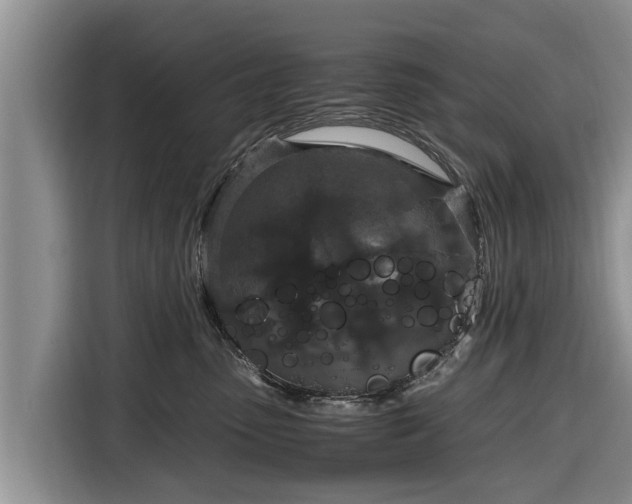 X0000116860475200912291303