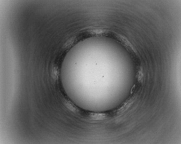 X0000116860476200912291303