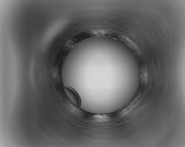 X0000116860477200912291303