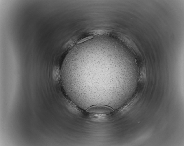 X0000116860478200912291303