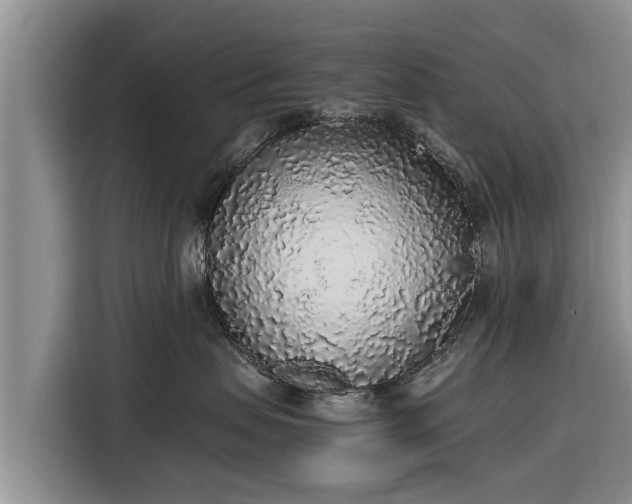 X0000116860479200912291303