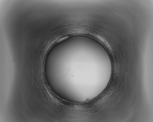 X0000116860481200912291303