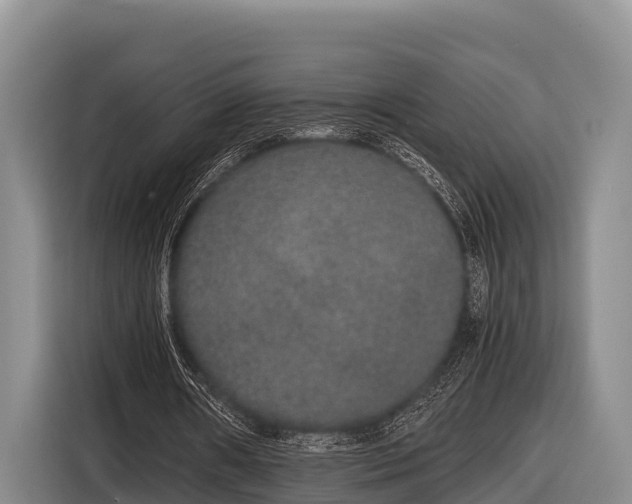 X0000116860482200912291303