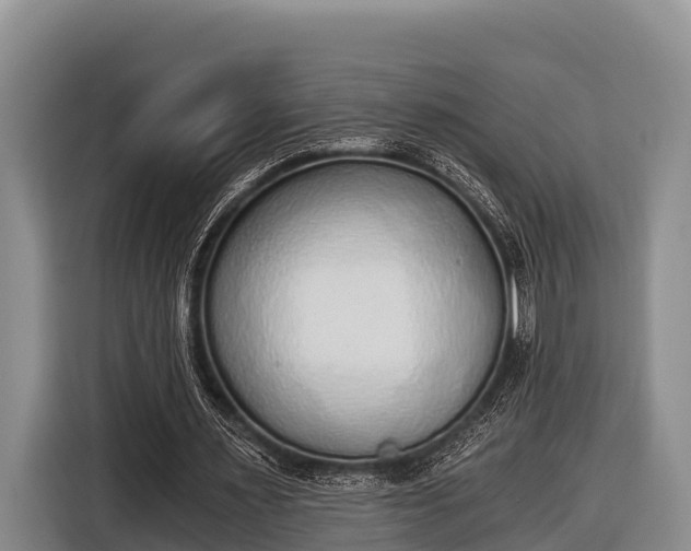 X0000116860483200912291303