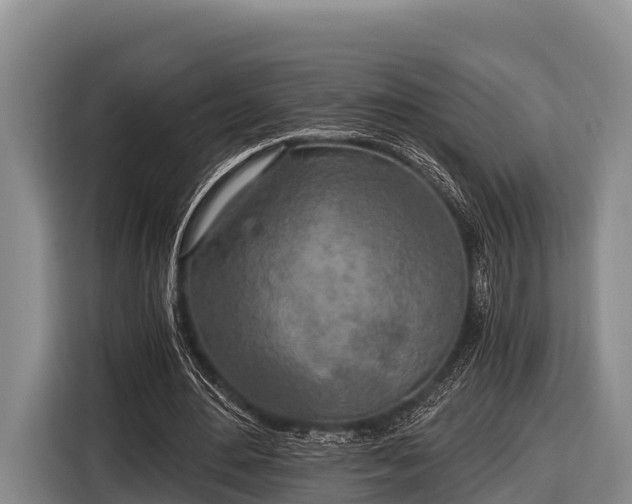 X0000116860484200912291303