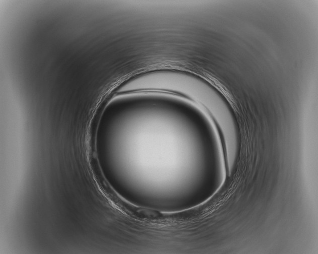 X0000116860485200912291303