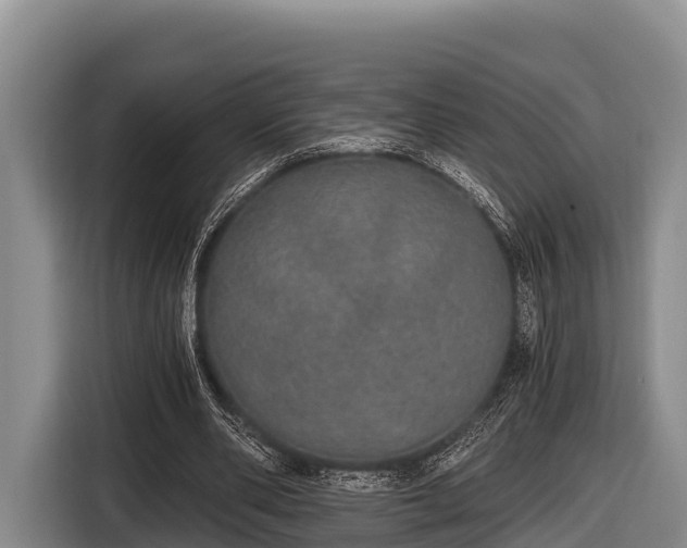 X0000116860486200912291303