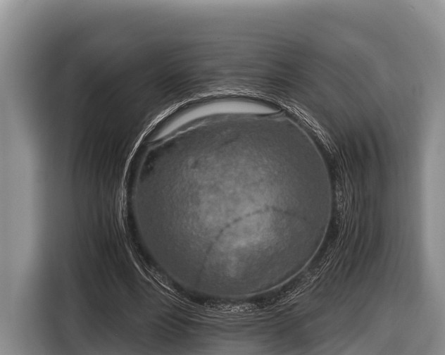 X0000116860488200912291303