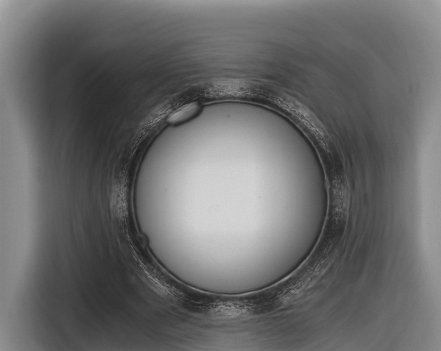 X0000116860489200912291303