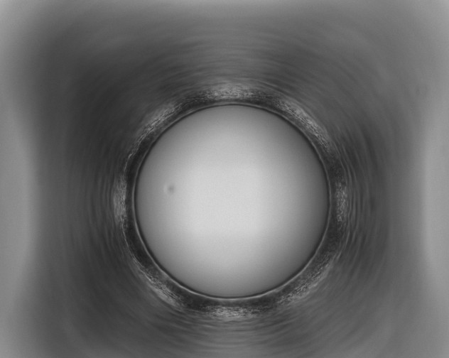 X0000116860490200912291303