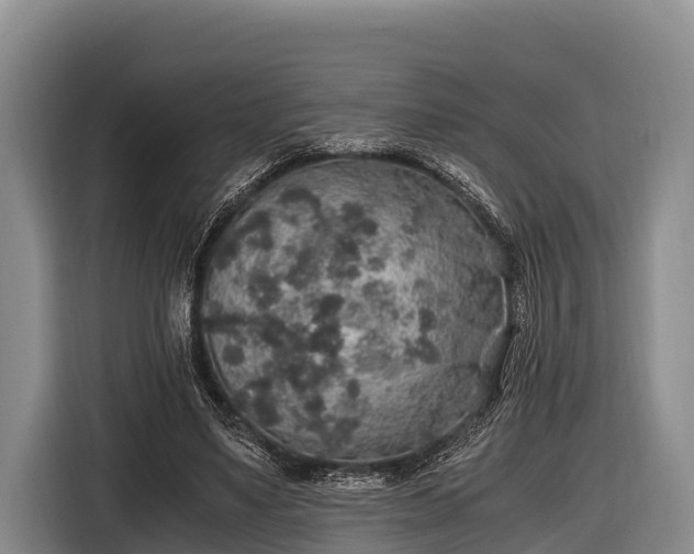 X0000116860491200912291303