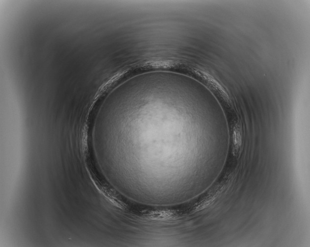 X0000116860492200912291303