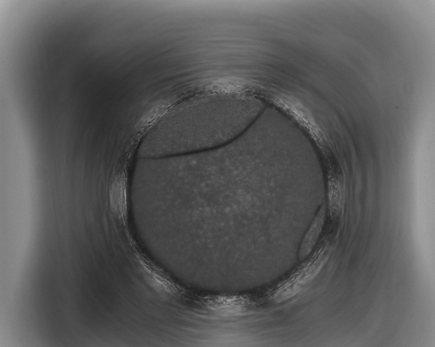 X0000116860493200912291303