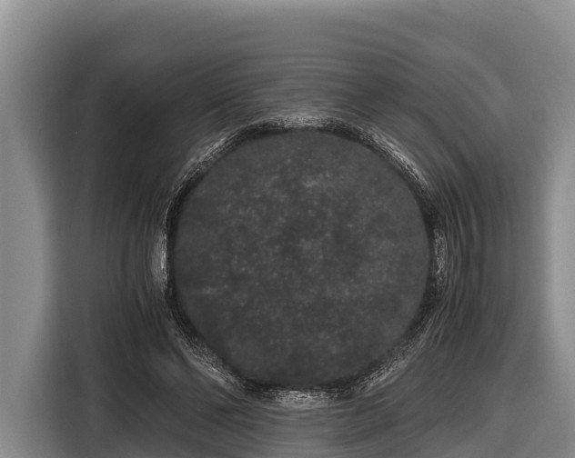 X0000116860494200912291303