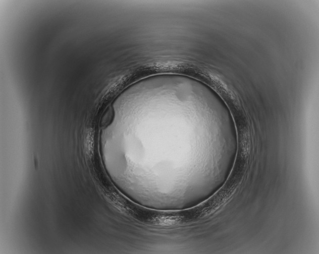 X0000116860495200912291302