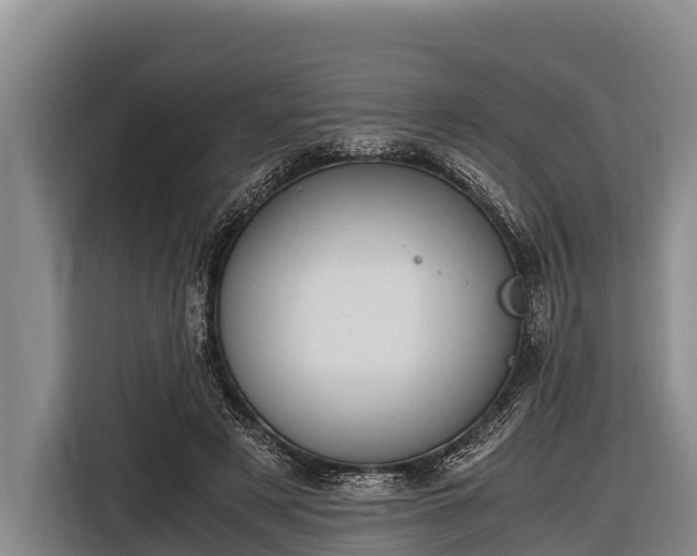 X0000116860497200912291302