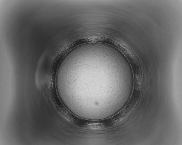 X0000116860499200912291302