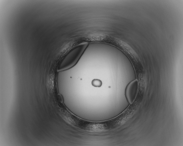 X0000116860501200912291302