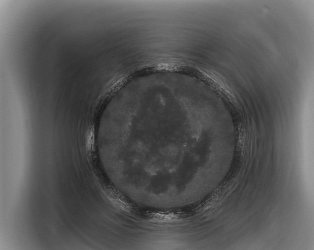 X0000116860502200912291302